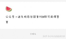 爆料盒子 娱乐圈吃瓜爆料,揭秘明星背后的秘密与八卦